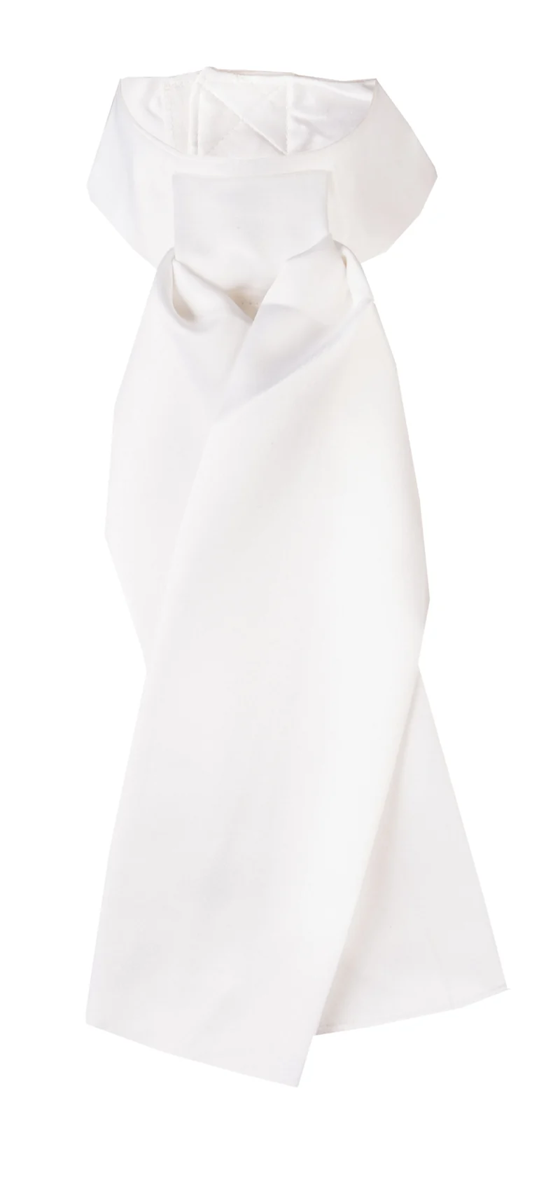 PLASTRON BASIS