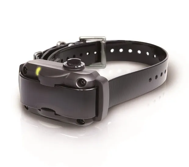 Dogtra YS600 Antiblaf band.