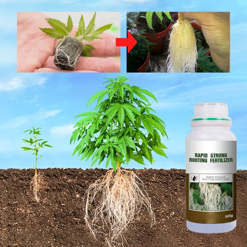 Snelwerkende wortelgroei meststof voor planten van 200 g